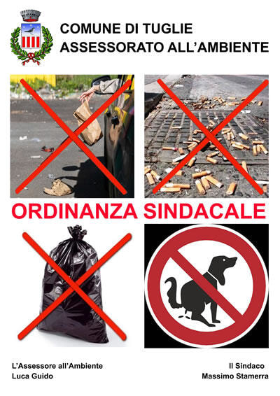 Immagine: ordinanza_rsu.jpg