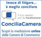 Immagine: Banner_Conciliazione.jpg