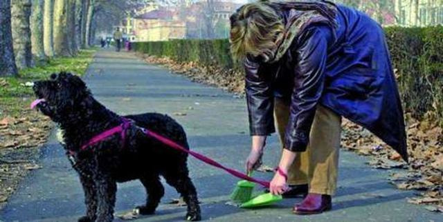 Immagine: Foto_cane_padrona.jpg