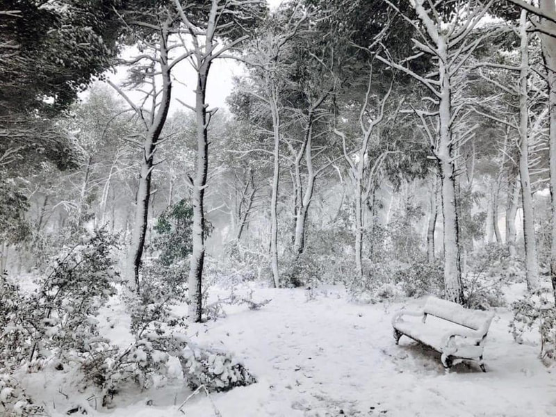 Immagine: nevicata.jpg